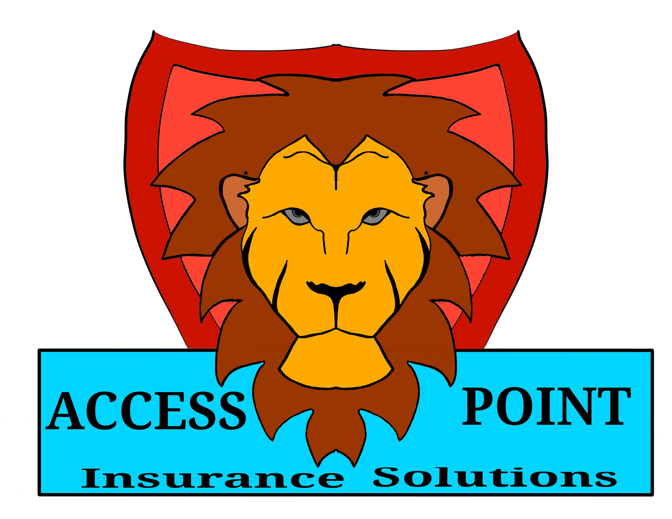 Access Point Insurance Solutions